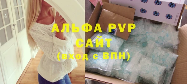 спайс Сясьстрой