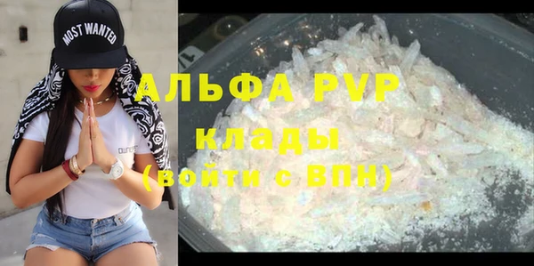 прущий лед Тайга